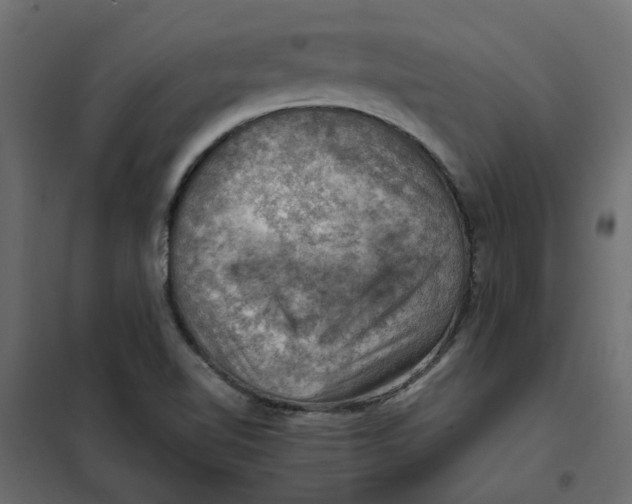 X0000102011510200808081712