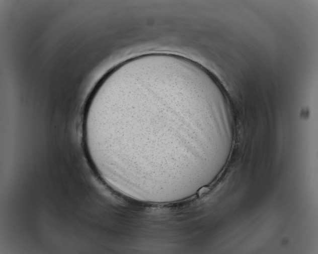 X0000102011511200808081712