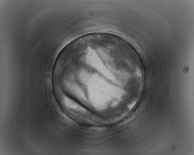 X0000102011513200808081712