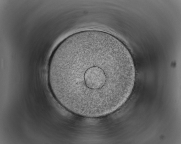 X0000102011514200808081712