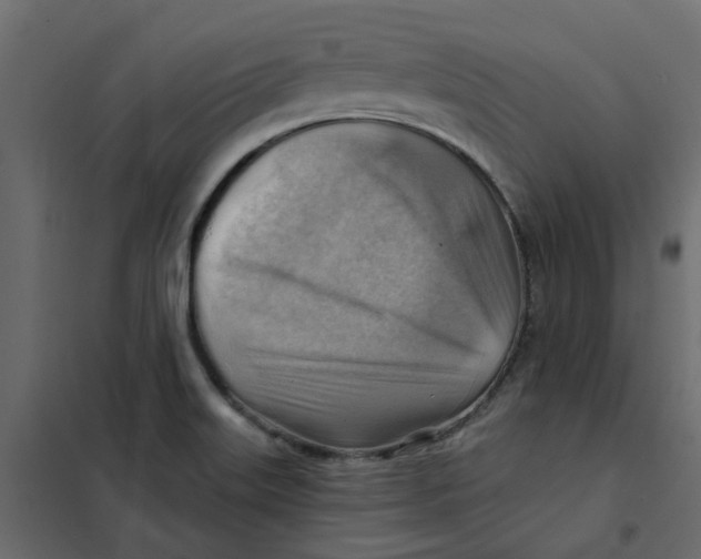 X0000102011515200808081712