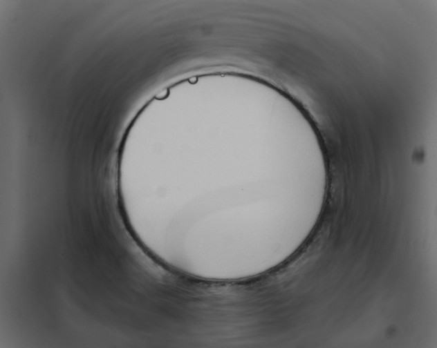 X0000102011516200808081712