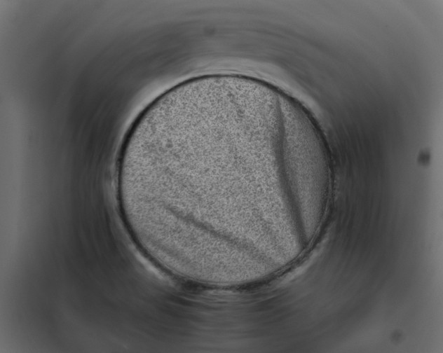 X0000102011517200808081712