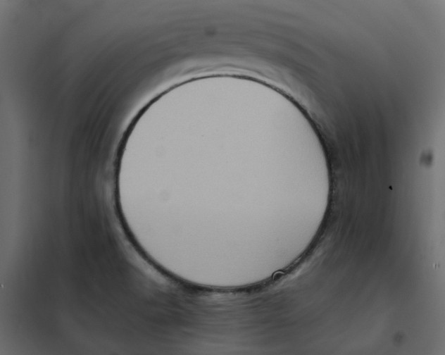 X0000102011518200808081712