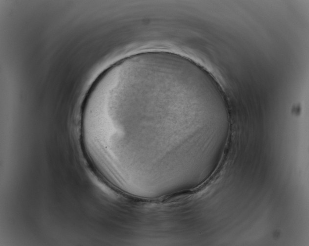 X0000102011519200808081712