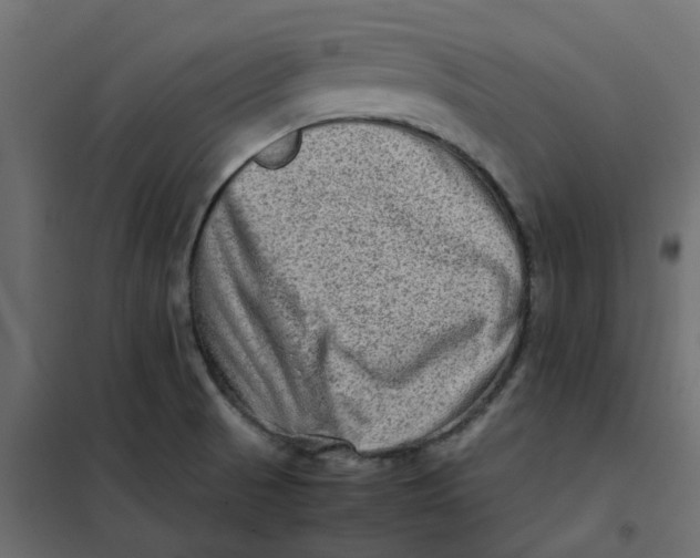 X0000102011521200808081712