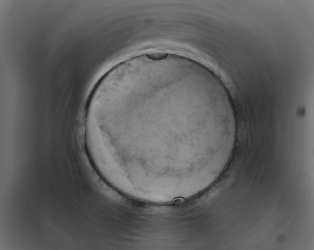 X0000102011522200808081712