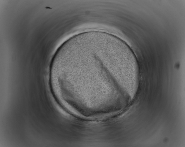 X0000102011523200808081712