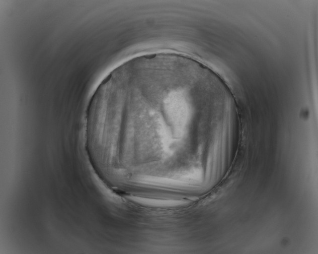 X0000102011524200808081712