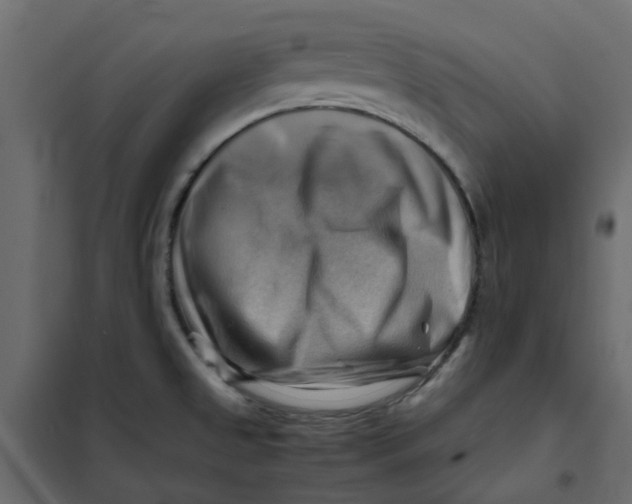 X0000102011525200808081712