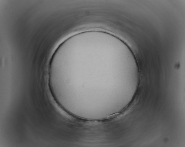 X0000102011526200808081712