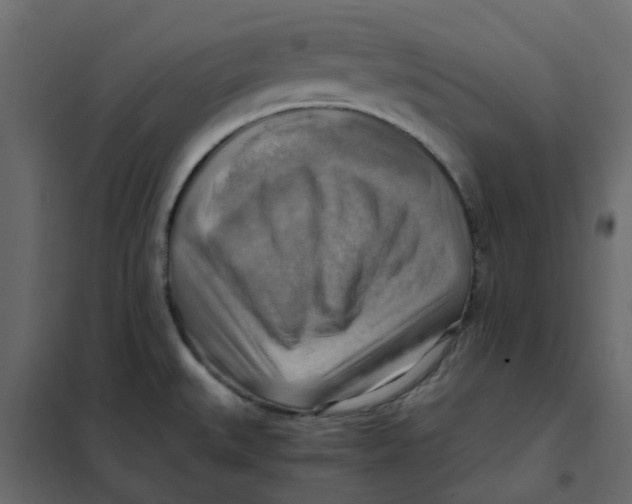 X0000102011527200808081712