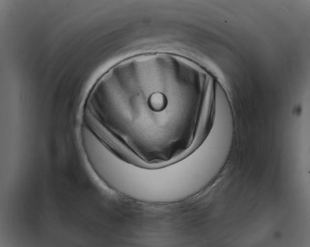 X0000102011528200808081712