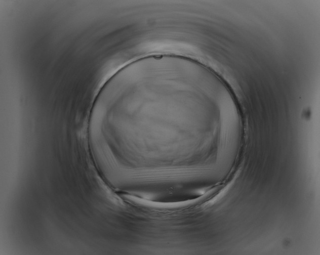 X0000102011529200808081712