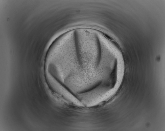 X0000102011530200808081712