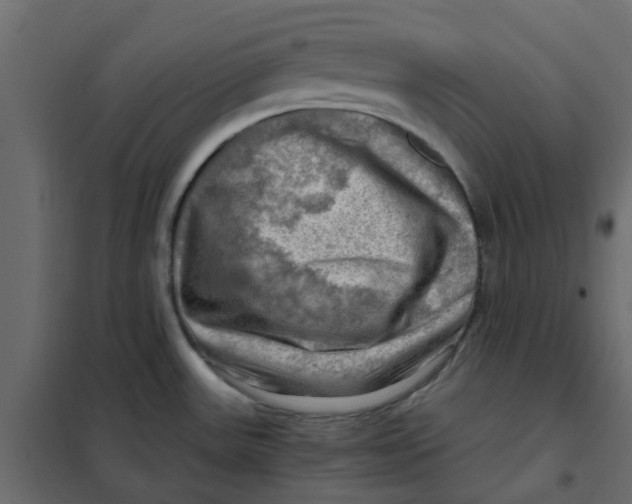 X0000102011531200808081712