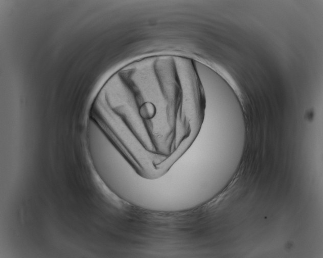 X0000102011532200808081712