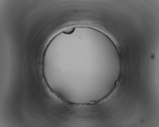 X0000102011534200808081712