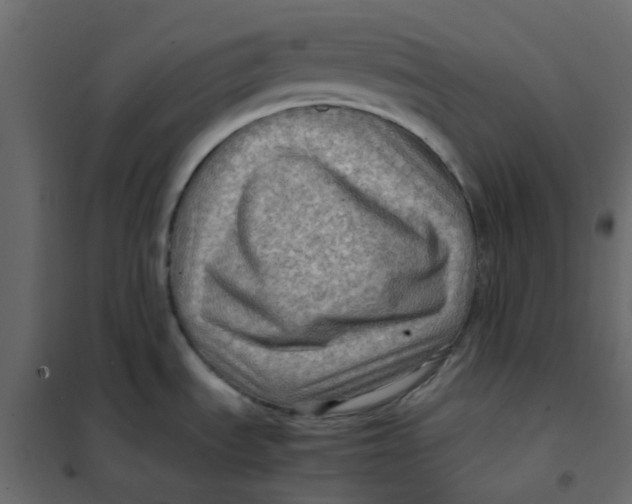 X0000102011535200808081712