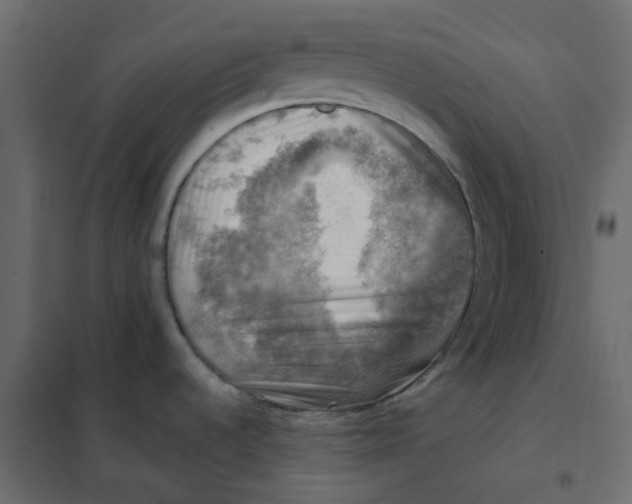 X0000102011536200808081712