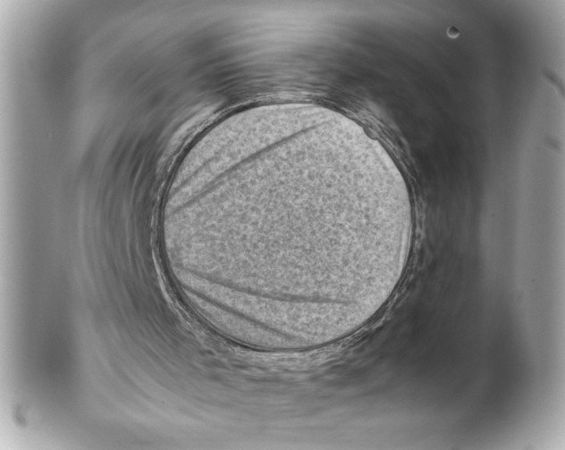 X0000102010001200808151303