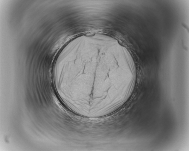 X0000102010002200808151303