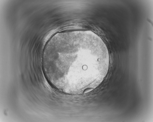 X0000102010003200808151303