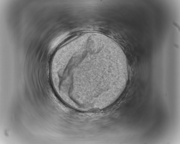 X0000102010005200808151303