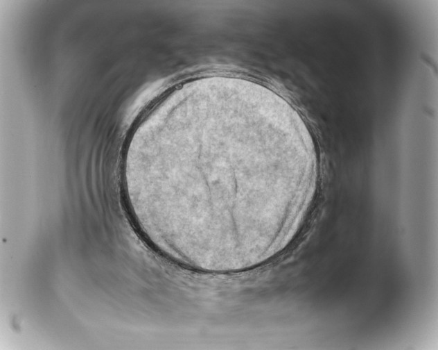 X0000102010007200808151303