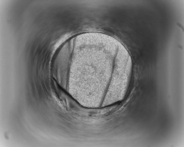 X0000102010008200808151303