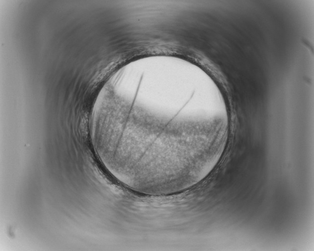 X0000102010009200808151303