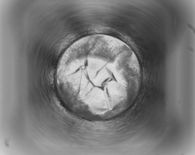 X0000102010010200808151303