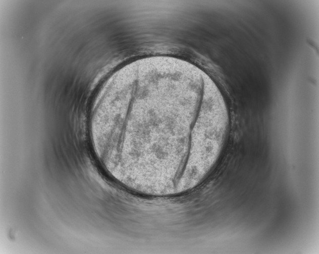 X0000102010012200808151302