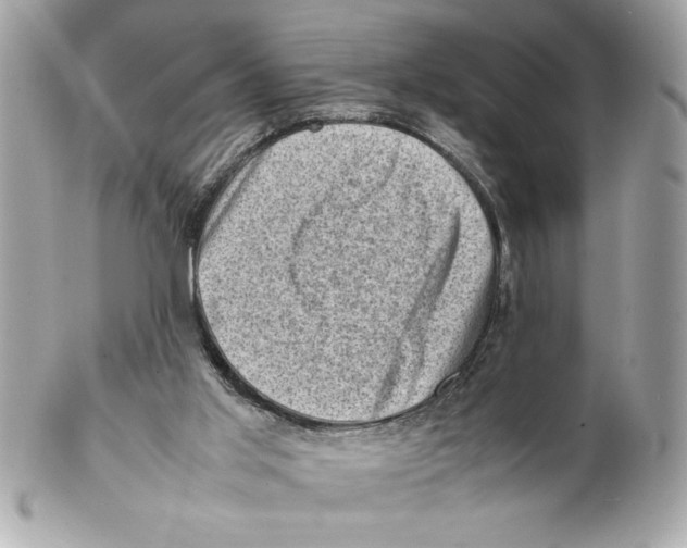 X0000102010013200808151302