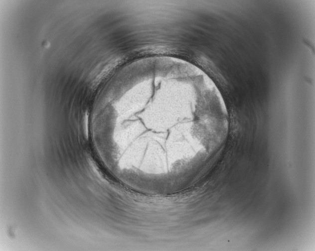 X0000102010014200808151302