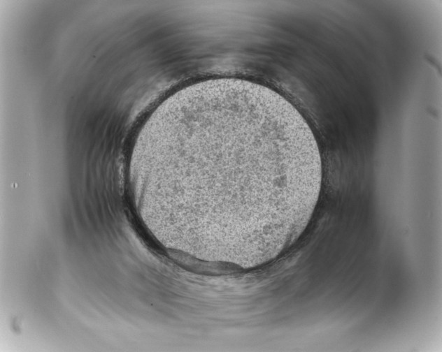 X0000102010016200808151302