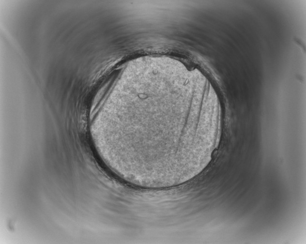 X0000102010017200808151302