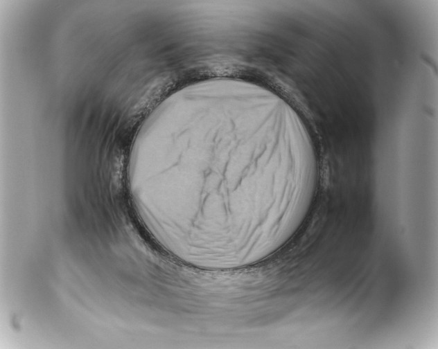 X0000102010018200808151302