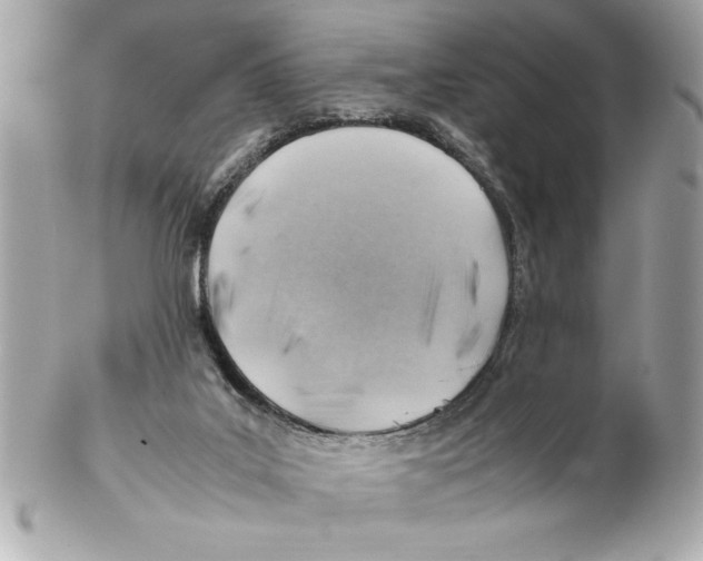 X0000102010019200808151302