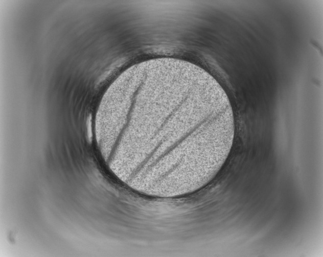 X0000102010020200808151302