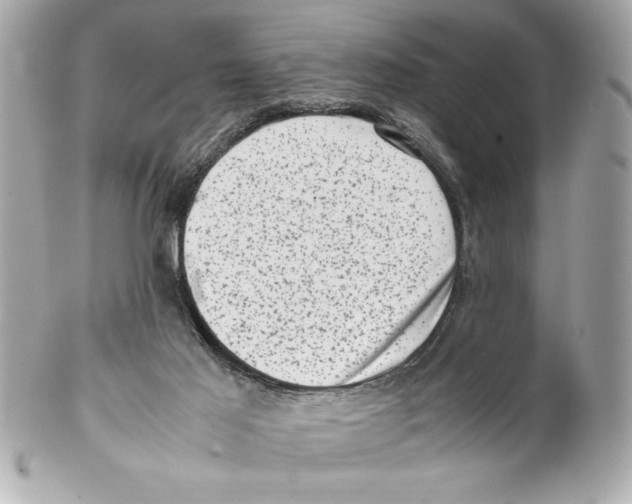 X0000102010021200808151302