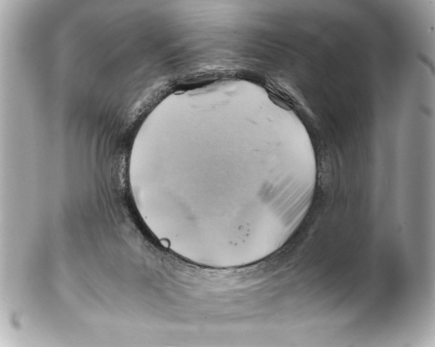 X0000102010023200808151302