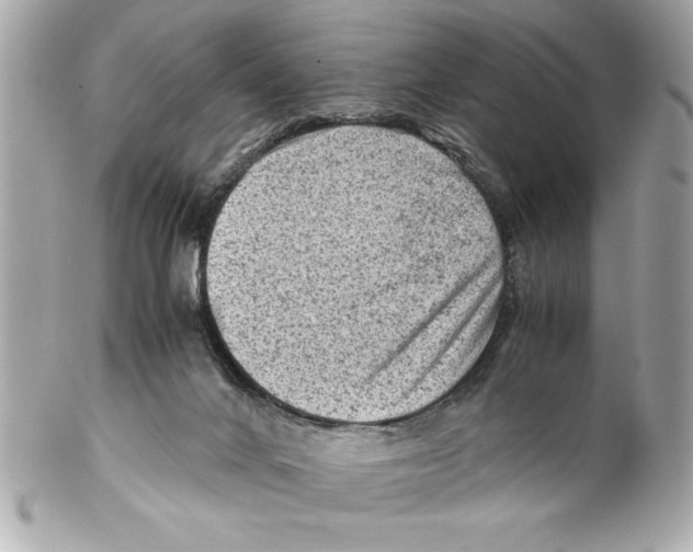 X0000102010024200808151302