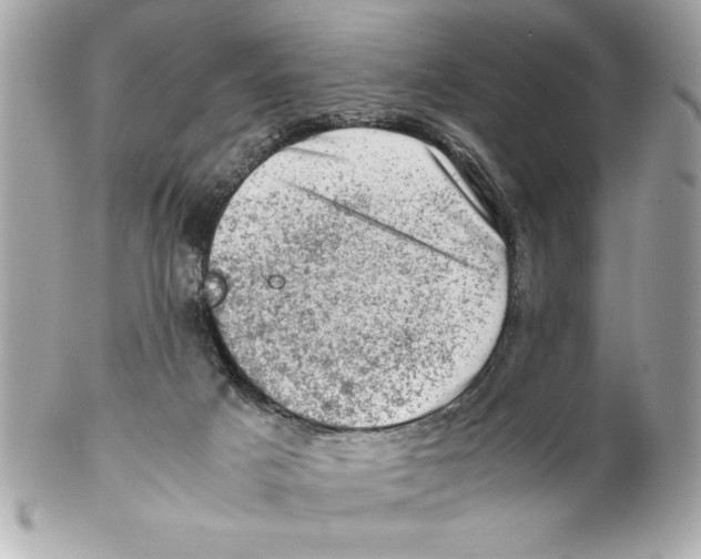 X0000102010025200808151302