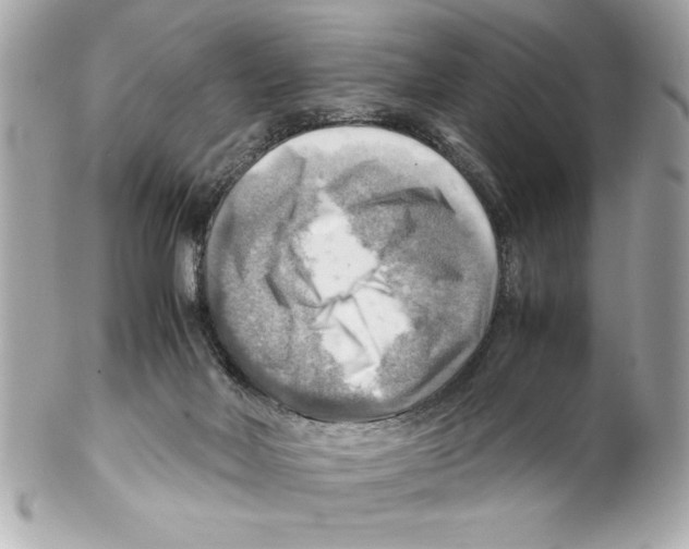 X0000102010026200808151302