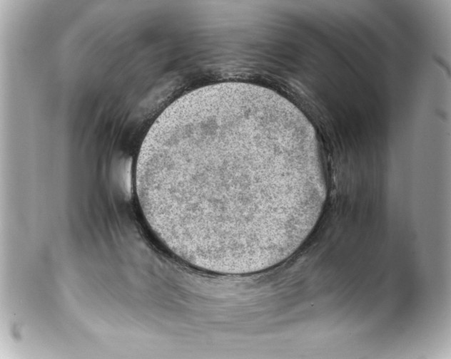 X0000102010028200808151302