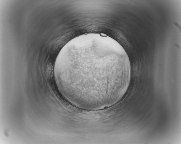 X0000102010029200808151302