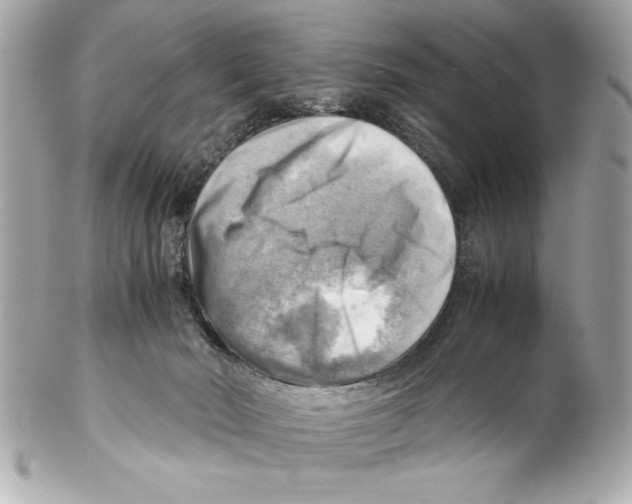 X0000102010030200808151302