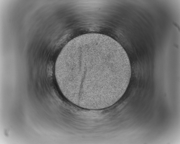 X0000102010032200808151302