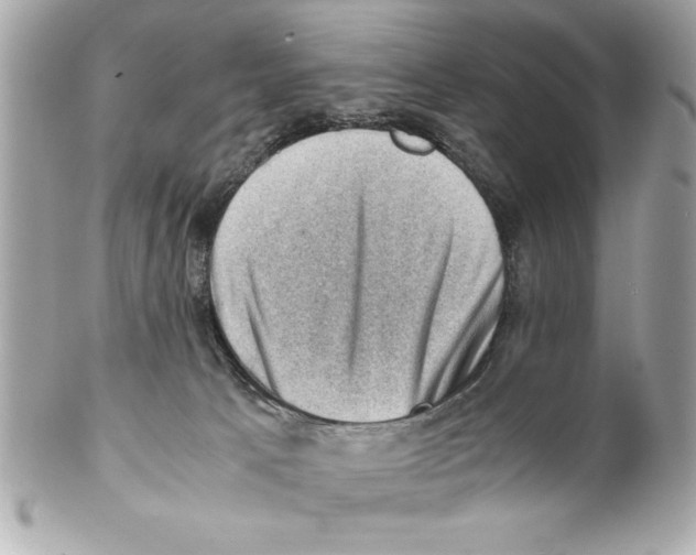 X0000102010033200808151302